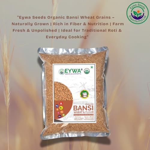 Image of Organic Bansi Bhaliya Whole Wheat Grains (15 KG) | Whole Grains For Eating And Cooking | |Bansi Bhaliya Daane | Produce of India from Organic Farms | BY Eywa