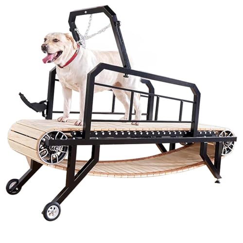 Xdlywuziq 7810 Hundelaufband Agility-Ausrüstung