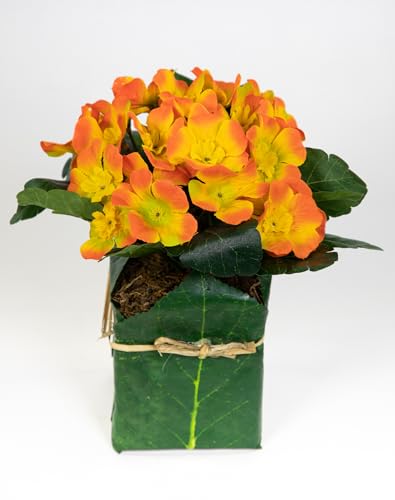 Künstliche Primel im Blatttopf 28cm PM künstliche Pflanzen Primelbusch Seidenblumen Kunstblumen Kunstpflanzen (Orange)