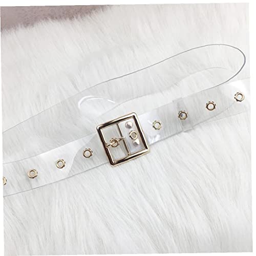 Clear Belt Women Waist Belts Resin Transparent Long Belt Ladies Dress Band Belt with Gold Round Buckle, 102cm2