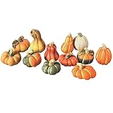 Die liebevoll gearbeiteten Zierkürbisse haben eine Höhe von ca. 4,0 bis 8,0 cm