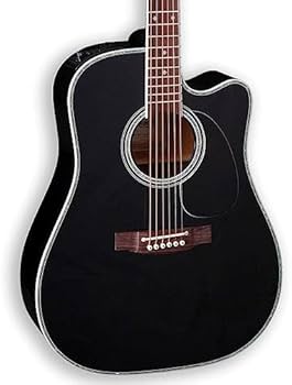 Amazon.com: Takamine EF341DX Dreadnought Acoustic-Electric Guitar