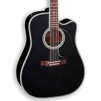 takamineギター Amazon.com: Takamine EF341DX Dreadnought Acoustic-Electric