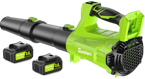 Leaf Blower Cordless with 2 x 3.0Ah Battery and Charger, 780CFM 260MPH Electric Blower with 2 Speeds, 20V Handheld Leaf Cleaner for Lawn Care, Blowing Leaves, Dust, Snow, Gravel for Patio, Yard, Green