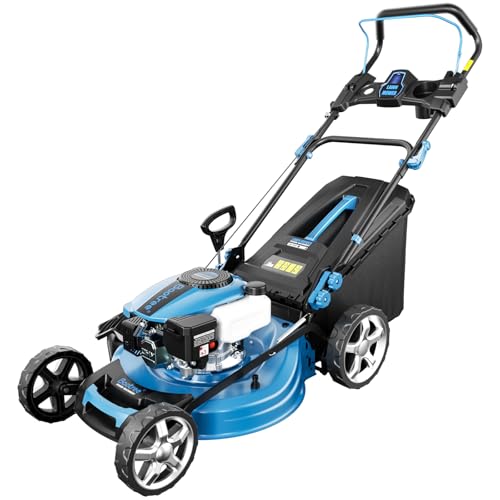 Gas Powered Push Lawnmower, 21-Inch Cutting Deck, 201cc 4-Cycle Engine, 7 Levels Adjustable Cutting Height, 3-in-1 Functions (Bagging, Mulching and Side Discharge)