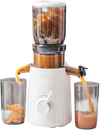 Exprimidor centrífugo, extractor de jugo totalmente automático de 250 W, canal de alimentación de 104 mm de ancho, 98% de rendimiento de jugo, fácil de limpiar para frutas y verduras enteras