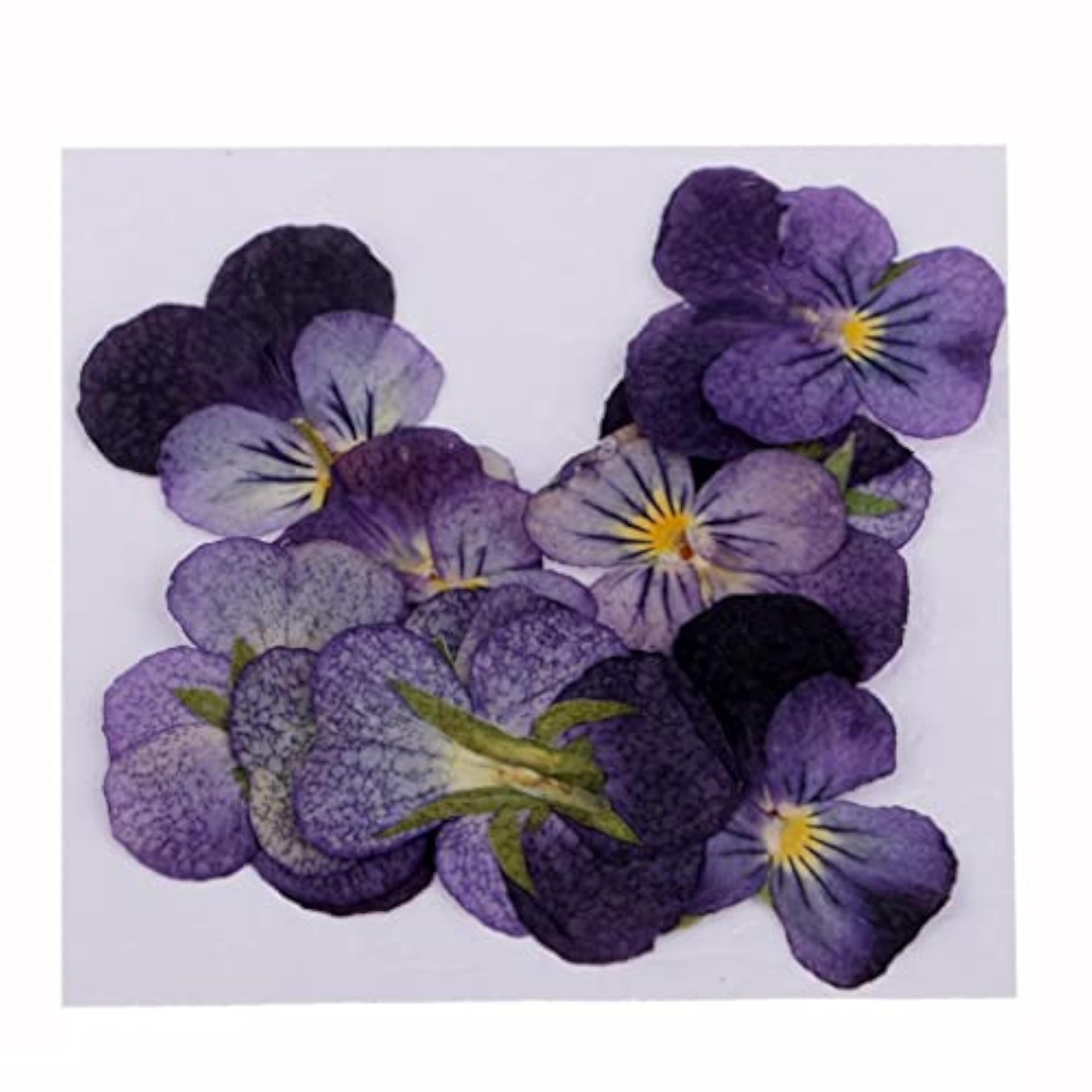 10 Pcs Dried Pressed Flowers for DIY Scrapbooking Crafts