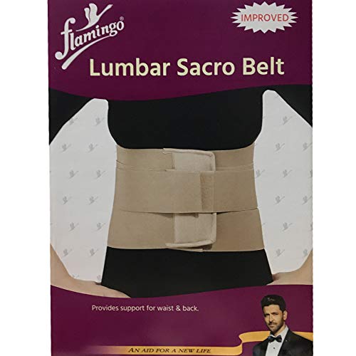 See full amazon price history chart for Flamingo Lumbar Sacro Belt - Large Flamingo Lumbar Sacro Belt - Large (B00B4MYDME) Amazon Price History, Amazon Price Tracker