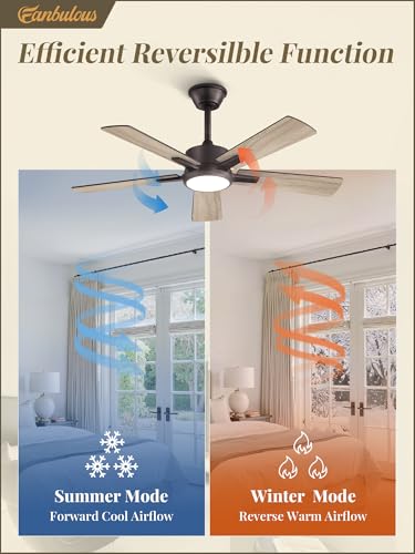 Image of Fanbulous 42 Inch Ceiling Fans with Lights and Remote, Stepless Color Temperature Change & Dimmable 20W LED Ceiling Fan, 6 Speeds Reversible Quiet DC Motor for Bedroom, Living Room, Oil Bronze