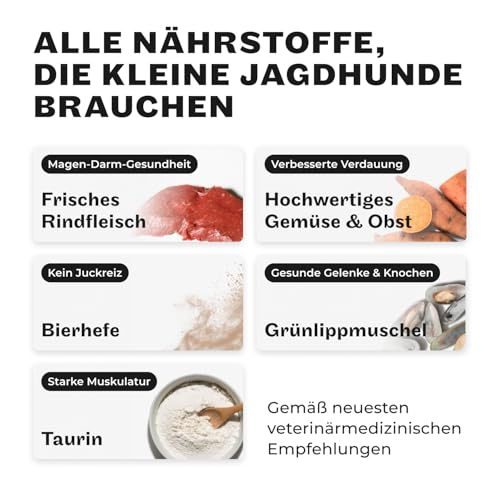 HEY HOLY Set 7 kg Premium Trockenfutter & 1 x 200 g Snacks für kleine Jagdhunde 100% getreidefrei | Hundefutter & Leckerlis für ausgewachsene Hunde mit Rind | Hochverträglich aus natürlichen Zutaten