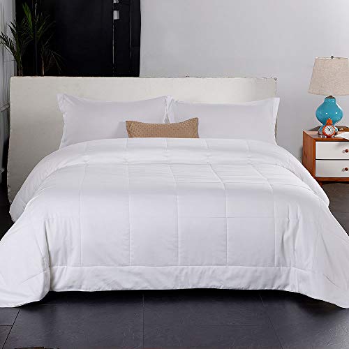 Since Silk Silk Duvet/Quilt, Keep Warm For Winter/Fall Season, 100% Mulberry Silk Filling, Breathable Lightweight (White, Full (80 * 84Inch)) #TOP6