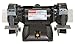 DAYTON Bench Grinder 10 in 1 HP 120V 10 A