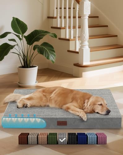 OhGeni Orthopedic Waterproof & Machine Washable Dog Bed for Med...