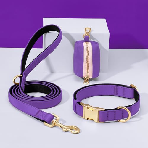 Collier chien violet M Didog rembourré imperméable - 6