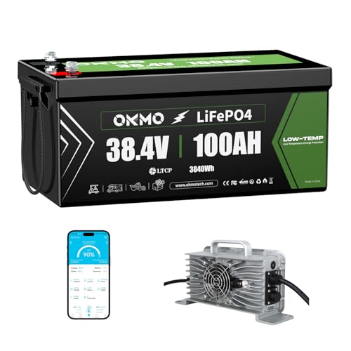 OKMO 36V 100AH Golf Cart Lifepo4 Lithium Battery with 43.8V 22A...