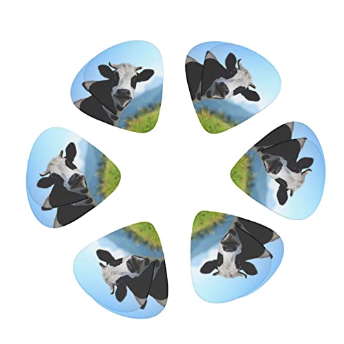 Lot de 24 médiators pour guitare acoustique, électrique, basse (0,46/0,71/0,96 mm) - Les Beatles, Paul McCartney, John Lennon, RIngo Starr, George Harrison Lot de 24 médiators pour guitare acoustique, électrique, basse (0,46/0,71/0,96 mm) – Image 3