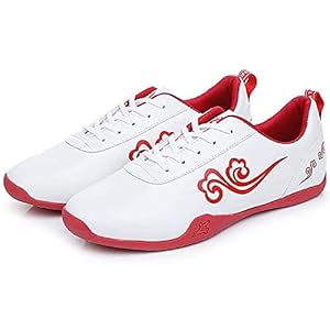 Taekwondo Schoenen,Ademend,Antislip,Taekwondo Sportboksen,Kung Taichi Lichte Schoenen Voor Mannen En Vrouwen (Color…