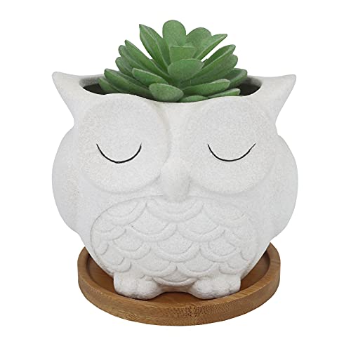 Gemseek Cute Owl Succulent Planter Pot with Drainage Tray, Large White Ceramic Flower Cactus Container, Animal Shaped Indoor Air Plants Holder