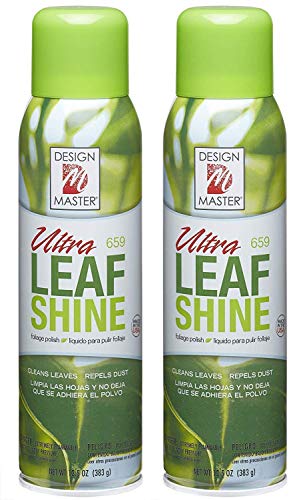 Design Master 659 Sprays, Ultra Leaf Shine (2-(Pack))