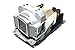 Replacement Lamp f TW350