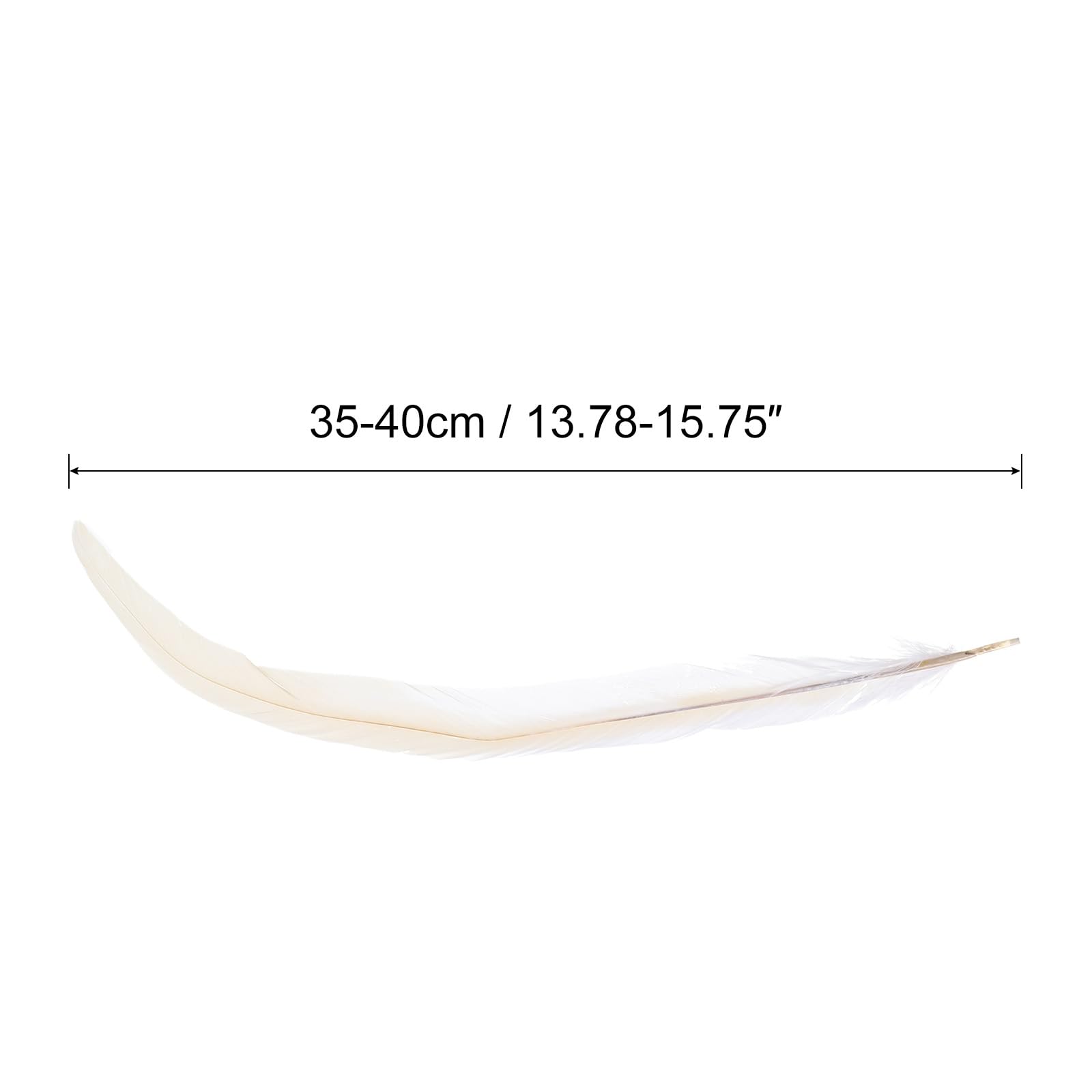 PATIKIL 14-16 Inch Rooster Feathers - Image 2