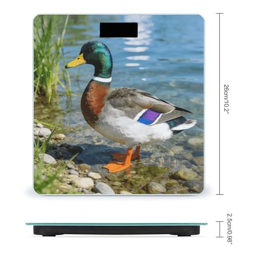 Báscula digital Mallard Duck para cuerpo, 180 kg capacidad miniatura 2