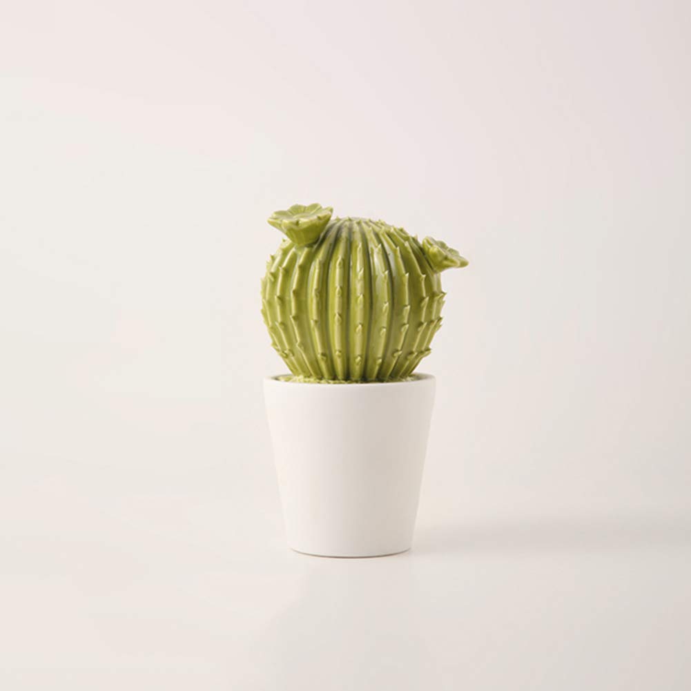 Cadeau Fantaisie Original : Statue de Cactus en Céramique de 19 cm