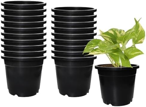 Occident Small Size 4 Inch Round Shape Heavy Duty Plastic (Pack of 10) Seedlings Pots Plant Seed Starting Pot Garden Plant Pots for Indoors & Outdoors Planting Pots Containers for Home Plants (10)-image-29