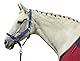 HKM 4000315543274 Strick -Stars- Mit Karabinerhaken3500 Lila180 cm