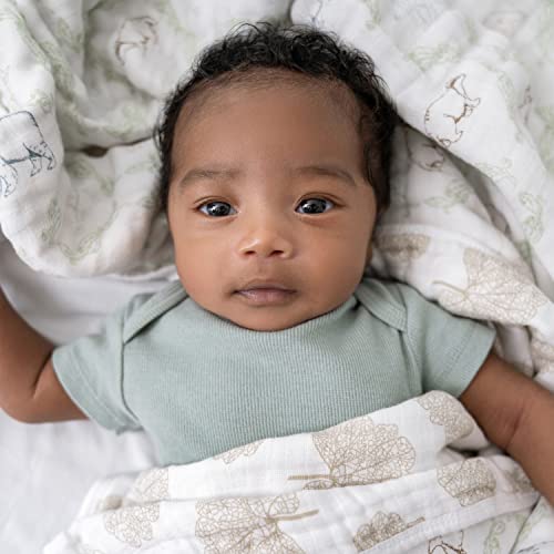 Image of aden + anais Essentials Dream Blanket, Muslin Baby Blankets for Girls & Boys, Ideal Lightweight Newborn Nursery & Crib Blanket, Harmony