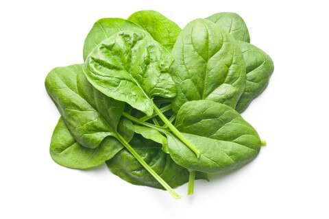 OL Seed Hybrid Spinach, Palak Seeds - Pack of 50 Seeds (B07DGLQCMS) Amazon Price History, Amazon Price Tracker