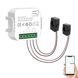 WiFi Smart Energy Meter: Dual Channel Smart Energy Monitor, Smart Power Meter with 2 80A CT Clamp, App Remote Monitoring, Real Time Data, Tuya Smart/Smart Life App Control Smart Home Energy Monitor