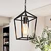 Black Farmhouse Kitchen Island Pendant Light FixturesMatte Vintage Rustic Pendant Light Metal Cage Lamp Chandelier Lighting for Dinning Room Hallway