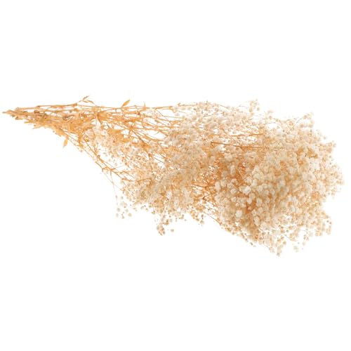 Ramo de flores secas Gypsophila beige 120g miniatura 1