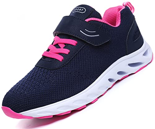 [ZUSERIS] nrC C Y fB[X VlC nr  V[Y VjAV[Y  b L O  a@p ̓ hV̓