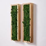 Mokof 2 Pack Moss Wall Art - Preserved Moss in Wood Frame - 17.3" Natural Green Wall Decor for Living Room, Bedroom, Bathroom, Entryways, Home Office (Forest Green)