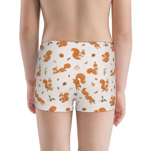 Boys' Cotton Boxer Brief Soft Underwear-Cute Squirrel Fall3