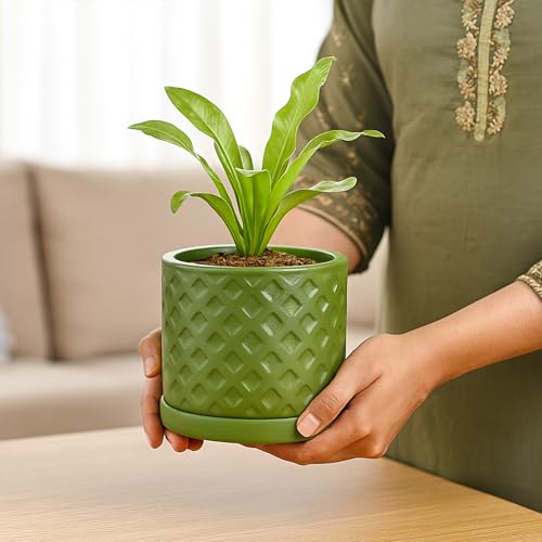 Image of Urban Plant Terracotta Pot with Saucer - Trendy Planter for Modern Home & Garden Spaces (Fresh Breath Terracotta Pot - Diamond)