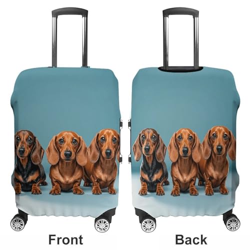 Carry on Luggage Cover Three Dachshunds Suitcase Covers for Luggages Tsa Approved Travel Luggage Sleeve Protector Elastic Suitcase Protector Anti-Scratch Washable Fits 19-30 Inch Case -XL3