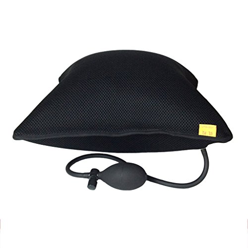Best Lumbar Support For Car Inflatable