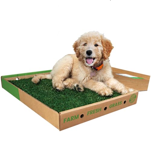 Gotta Go Grass (2 Pack)