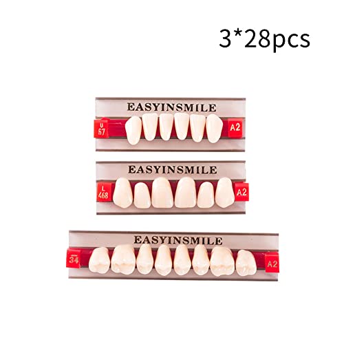 Image of Easyinsmile Dental Synthetic Resin Teeth A2 A3 False Upper Lower Teeth Replacement Dentures for Halloween (A2, Full Set 468+U67+34)
