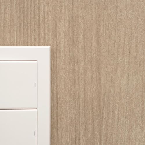 ǎ{ ǎ ̂Ȃ NX ؖ uE F TQc NX SP2567 SP9803 ؂蔄 mP y󒍐YiELZsz