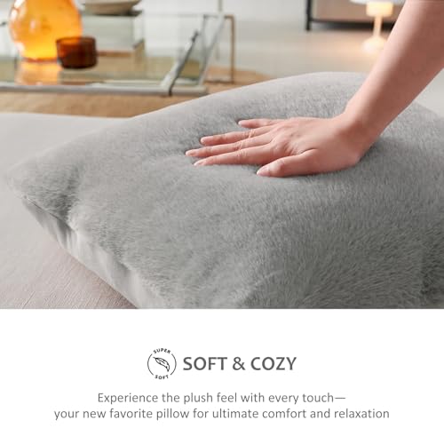 Pallene Faux Fur Plush Throw Pillow Covers 18x18 Set of 2, Soft Fluffy Couch Pillow Covers for Living Room, Grey
