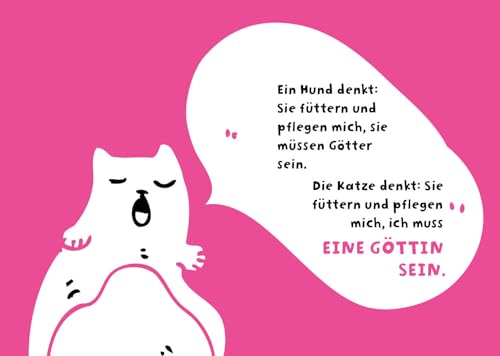 Hunde haben Besitzer, Katzen haben Personal: Was deine Katze wirklich über dich denkt