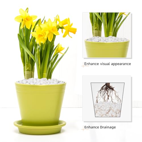 Image of 5 lbs White Aquarium Gravel, 1 /5 Inch White Rocks for Plants, Small Pebbles for Vases, Succulents, Bamboo, Natural Decorative Pebbles for Plants Drainage, Cactus, Crafts