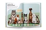 Das Hunde-Buch: Zu Besuch bei Hunden aus aller Welt