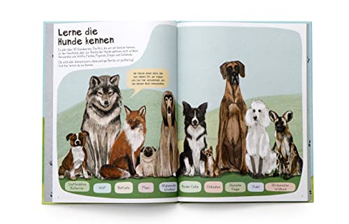 Das Hunde-Buch: Zu Besuch bei Hunden aus aller Welt