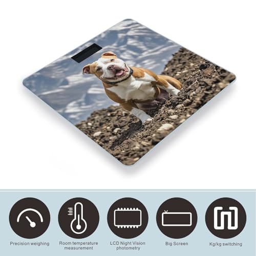 Báscula digital de baño Pitbull Dogs en vidrio templado miniatura 3