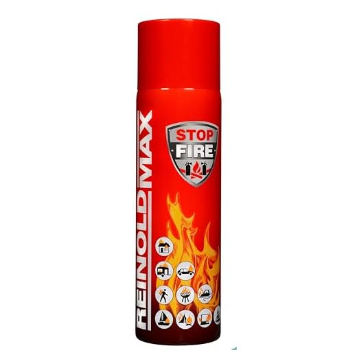 Bottari Extinguishing Spray ReinoldMax STOP FIRE Universal Feuerlöschspray 500 g